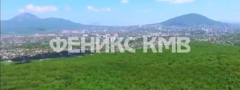 screenshot_20250224_151551_whatsappbusiness