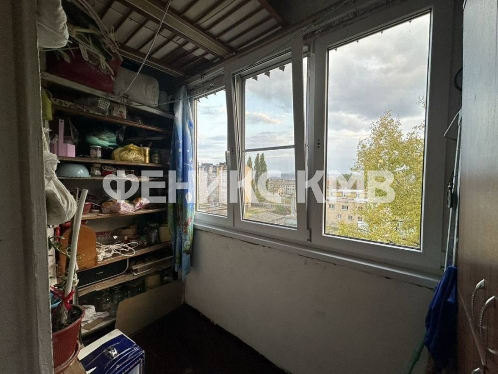 photo_5206634079955580049_y