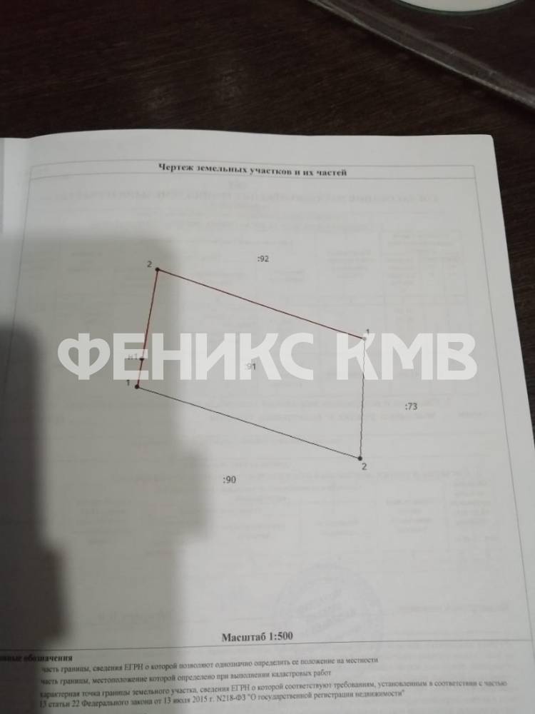 whatsapp image 2025-04-29 at 05.53.33 (1)