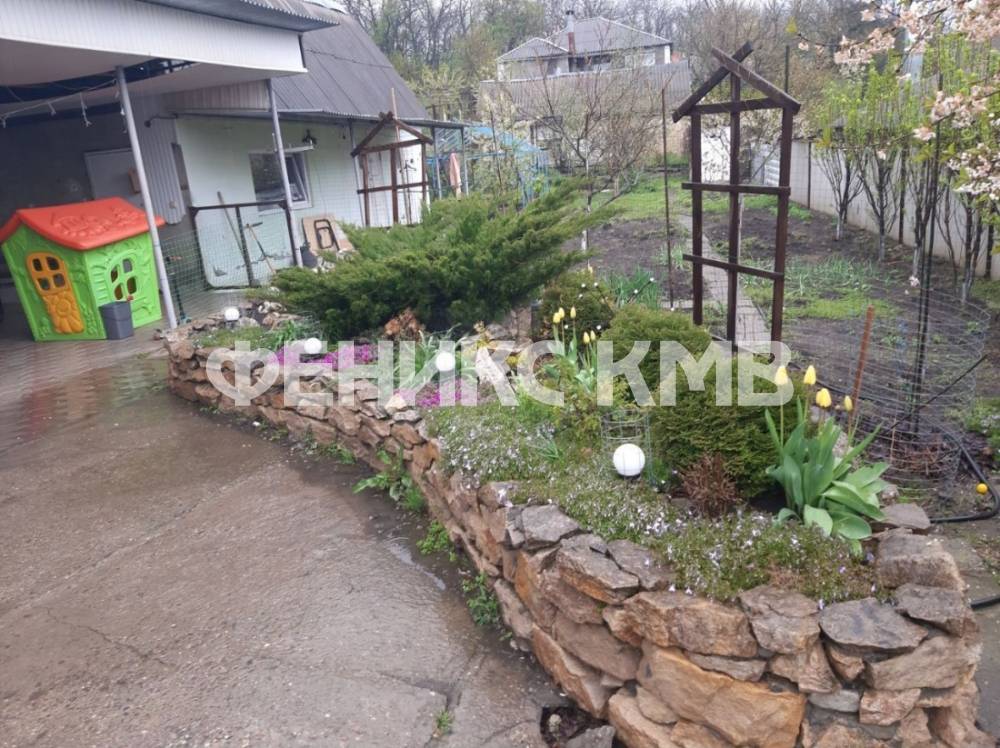 photo_5246903753452419763_y