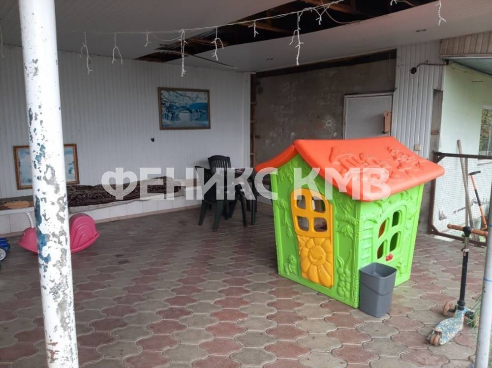 photo_5246903753452419761_y